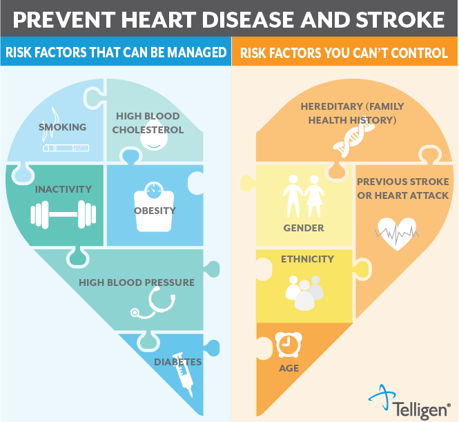 Infographic in the shape of a heart outlining different risk factors for heart disease and stroke