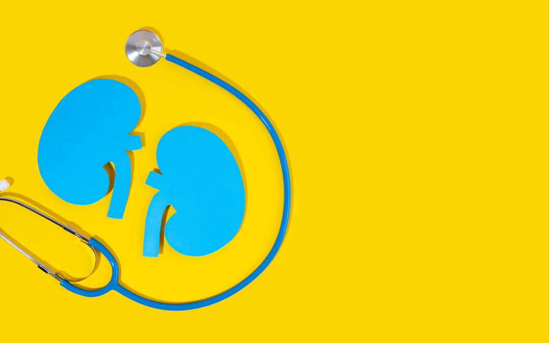Banner image for National Kidney Month, blue kidneys and stethoscope on yellow background.
